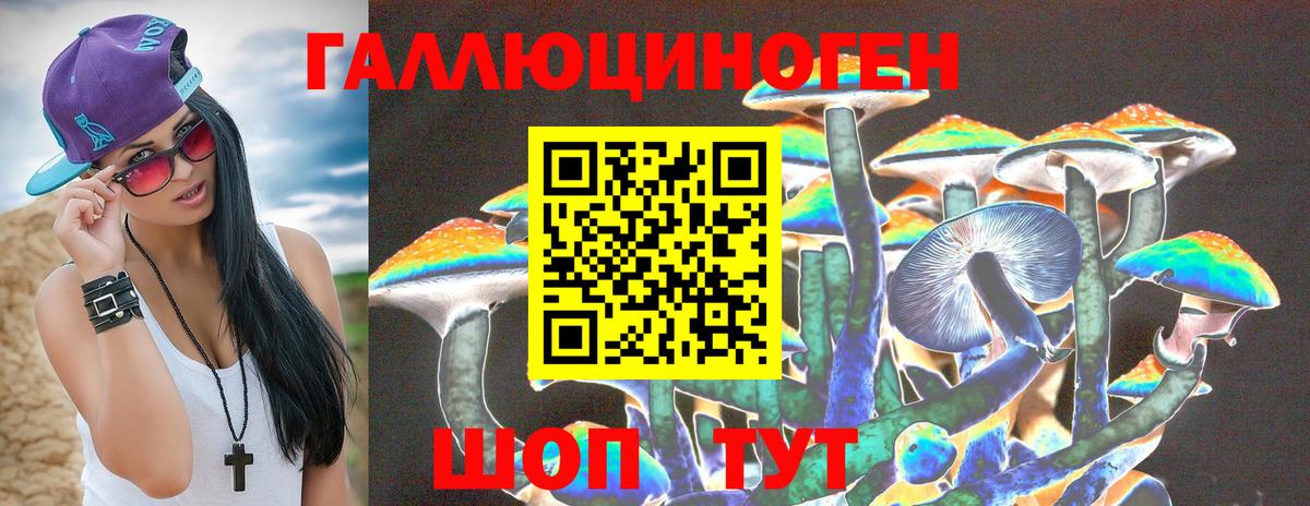 Галлюциногенные грибы Psilocybe Артём