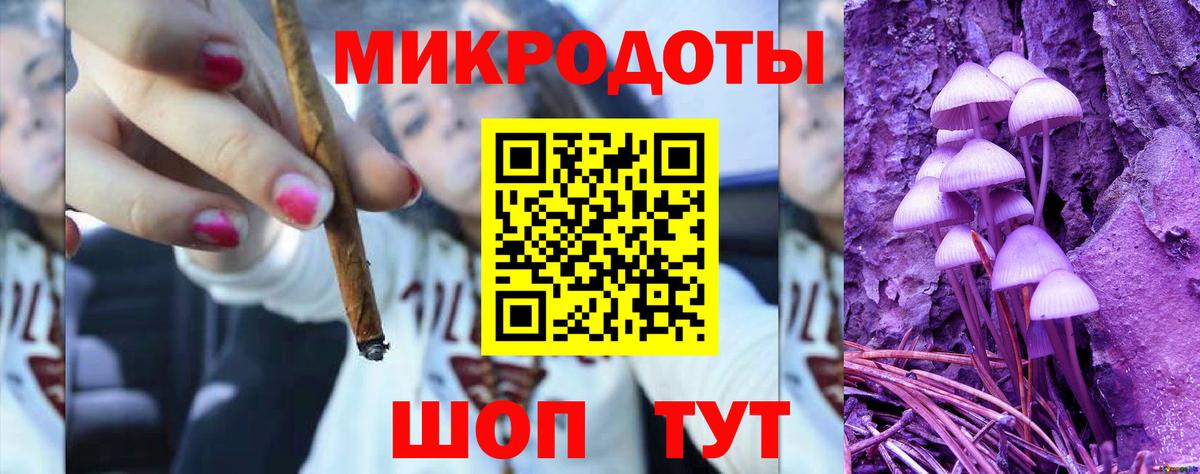 Галлюциногенные грибы Psilocybe  Вход с VPN  Артём  Псилоцибиновые грибы MAGIC MUSHROOMS 